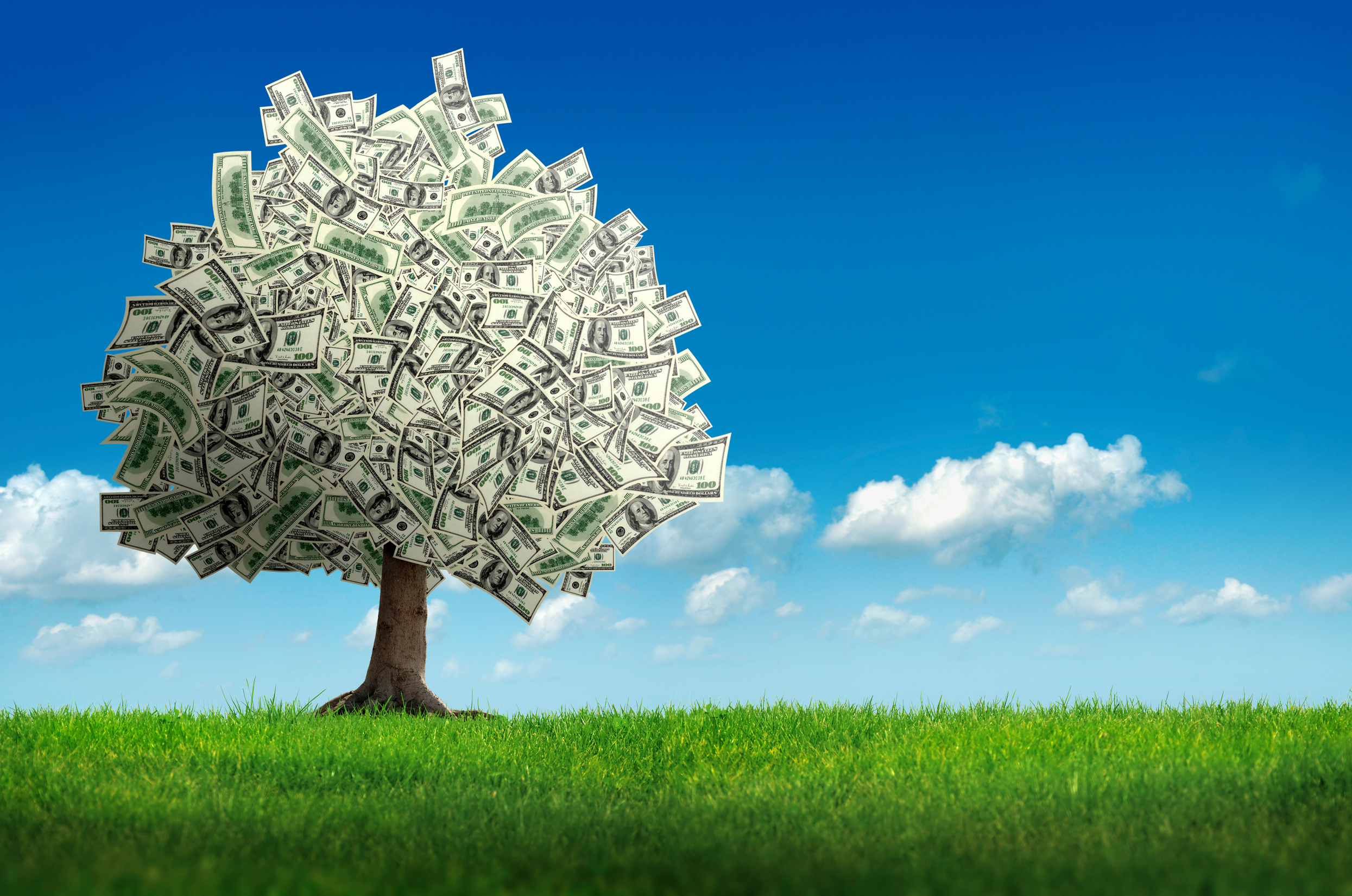 money tree